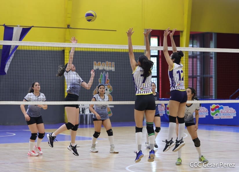 voleibol